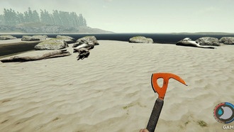 Лес: где найти черепах