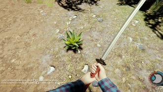 Лес: где найти алоэ