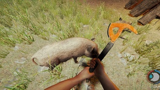 Где найти кабанов в лесу