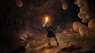 PS5 Pro не будет запускать Elden Ring со скоростью 60 FPS