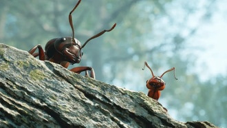 Стратегия Empire of the Ants получила положительные отзывы от игроков