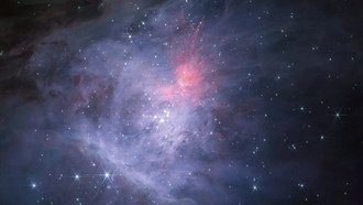 Исследование формирования двойных объектов с массой Юпитера в туманности Ориона