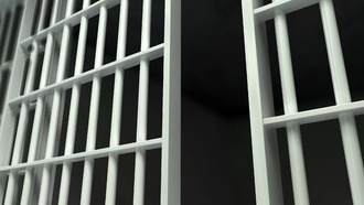 Подросток из США признал себя виновным в совершении сотен «оскорбительных» звонков по всей стране