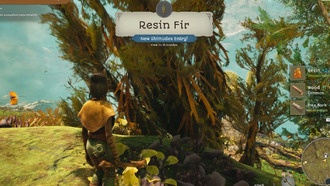 Как получить смолу в башнях Агасбы