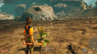 Как получить Раро Фрукты в Башнях Агасбы