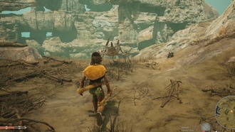 Как фармить шкуры в башнях Агасбы