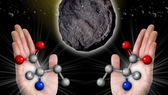 Исследование происхождения жизни: РНК способствует образованию разных белков