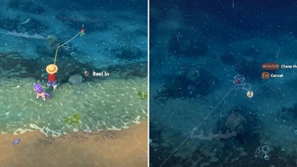 Остров Лума: как ловить рыбу