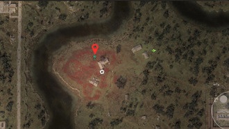 Как получить артефакт «Странный цветок» в STALKER 2