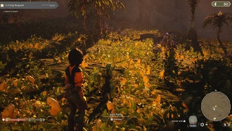 Где найти водоросли в башнях Агасбы