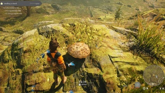 Как получить шляпку гриба в башнях Агасбы