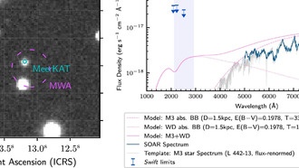 Возможное объяснение самого длинного периода радиотранзиента