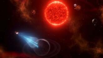Игроки Stellaris оценили решение создателей
