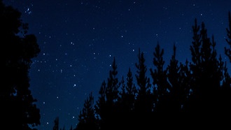 Астрономы обнаружили самые маленькие астероиды, когда-либо обнаруженные в главном поясе