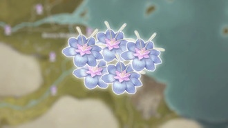 Бесконечные локации Nikki Aromalily