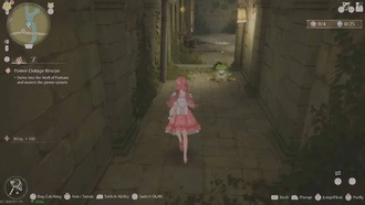 Infinity Nikki: Все капризы и капли вдохновения в Well of Fortune