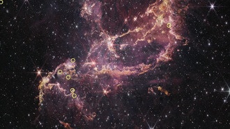 Уэбб обнаружил, что диски, формирующие планеты, существовали дольше в ранней Вселенной