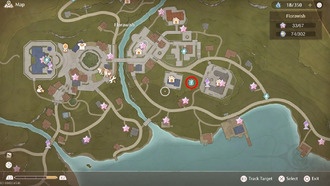 Infinity Nikki: руководство по групповым фотографиям для компаньонов