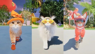 Catly: ответ на обвинения в использовании ИИ