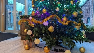 Первый арт Everwild от студии Rare за последние три года