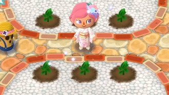 Руководство по классу Flower-Garden Lounge в Animal Crossing: Pocket Camp Complete
