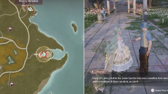 Неудача, удача в поисках бесконечности Никки