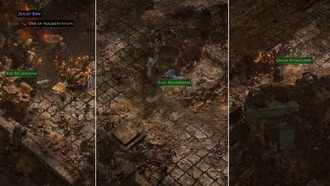 Path of Exile 2: Что делать с грибами в 3 акте