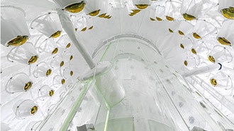 Первый научный эксперимент LZ устанавливает новые ограничения на взаимодействие темной материи