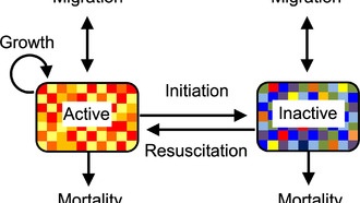 Спячка: первая в жизни стратегия выживания?