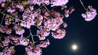 Японский стартап полон надежд в преддверии второго запуска на Луну