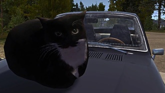 My Summer Car наконец вышла из раннего доступа после восьми лет ожидания