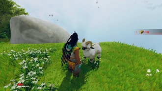 Вверх: как завести животных