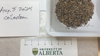 Камера дверного звонка запечатлела редкий метеоритный удар в Канаде