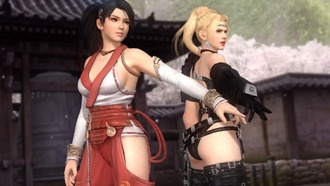 Dead or Alive: удаление фанатских работ