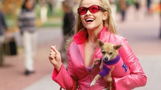 В марте стартуют съёмки приквела «Блондинки в законе»