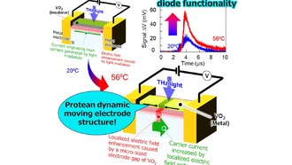 Ученые из Осаки представили «живые» электроды, которые могут улучшить работу кремниевых устройств