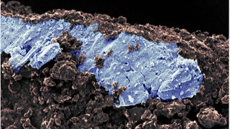 Образцы астероида Рюгу указывают на наличие соленой воды во внешней части Солнечной системы