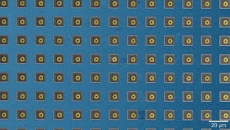 Гарвардский чип картирует 70 000 синаптических связей из 2 000 нейронов крысы