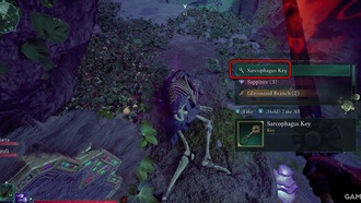 Как использовать ключ от саркофага в Avowed (броня Spiritmender)