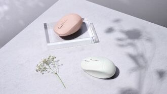 Asus продолжает тренд на ароматные устройства с ароматной мышкой