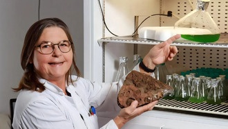 Как развивалась жизнь на ранней Земле? Обнаружен новый источник азота