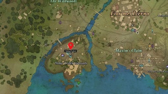 Расположение фрагмента тотема ожерелья Effigy в Avowed