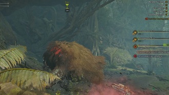 Monster Hunter Wilds: Как поймать монстров