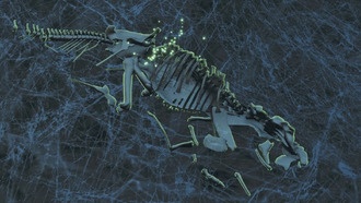 Как найти реликвию драконьей кости в Monster Hunter Wilds