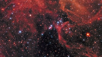 Исследование показывает, что мощные сверхновые «стали причиной как минимум двух вымираний на Земле»