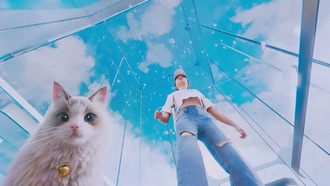 Дорожная карта развития симулятора inZOI на 2025 год