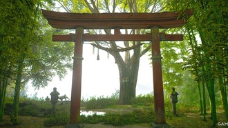 Что происходит, когда вы поднимаетесь по воротам Тории в Assassin's Creed Shadows?