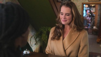 Брук Шилдс в комедии-детективе „Элли и Энди“