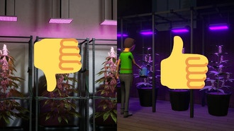 Симулятор наркоторговца-конкурента Schedule 1 заявляет, что «никакого судебного иска» не будет на фоне разногласий по поводу взрыва и расследования