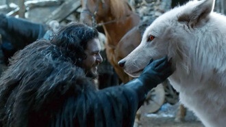 ДНК вымершего волка в современных животных